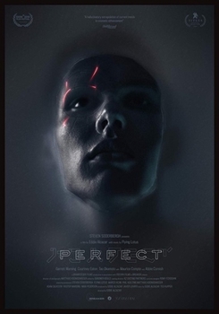DVD Perfect Book