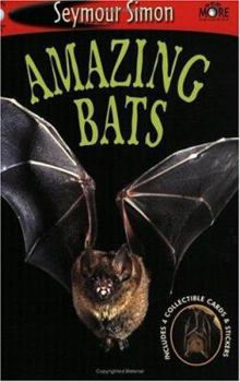 Paperback Amazing Bats: See More Readers Level 1 Book
