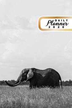 Paperback Daily Planner 2020: Elephant Lover 52 Weeks 365 Day Daily Planner for Year 2020 6x9 Everyday Organizer Monday to Sunday Africa Big Animal Book