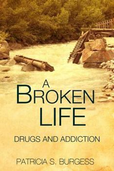 Paperback A Broken Life: : Mental Illness or Addiction Book