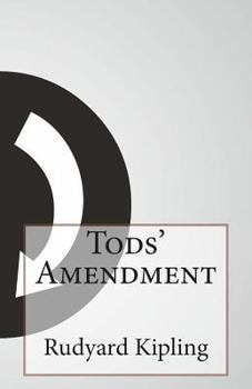 Paperback Tods' Amendment Book