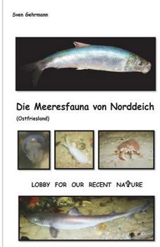 Paperback Die Meeresfauna von Norddeich [German] Book