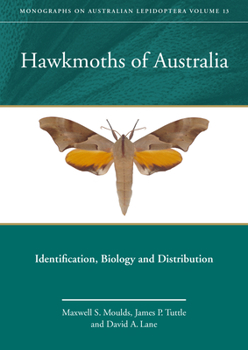 Hardcover Hawkmoths of Australia: Identification, Biology and Distribution Book