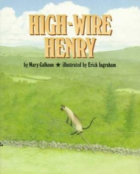 Hardcover High-Wire Henry Book