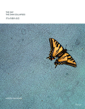 Hardcover The Day the Dam Collapses Book