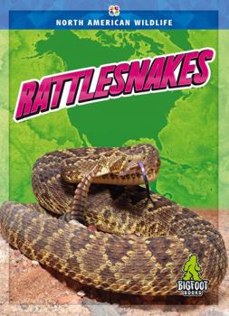 Library Binding Rattlesnakes Book