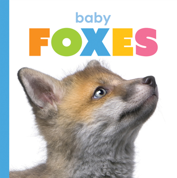 Paperback Baby Foxes Book