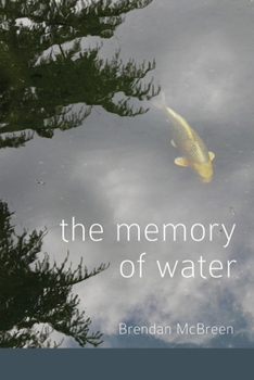 Paperback The Memory of Water Book