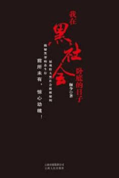 Paperback in my day undercover triad [Paperback] [Chinese] Book
