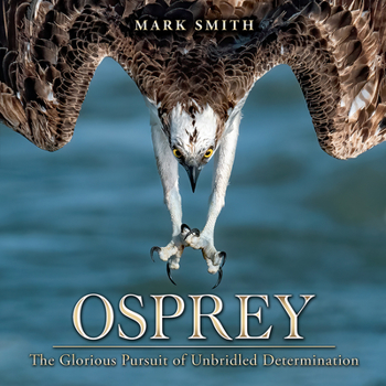 Hardcover Osprey: The Glorious Pursuit of Unbridled Determination Book