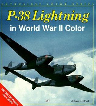 Paperback P-38 Lightning in World War II Color Book