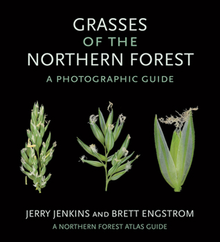 Paperback Grasses of the Northern Forest: A Photographic Guide Book