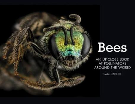 Hardcover Bees: An Up-Close Look at Pollinators Around the World Book