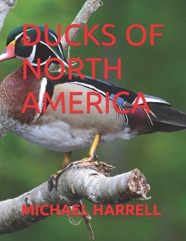 Paperback Ducks of North America Book