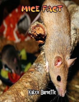 MICE FACT: MICE fact for girl age 1 10 MICE fact for boy age 1 10 facts about all about MICE