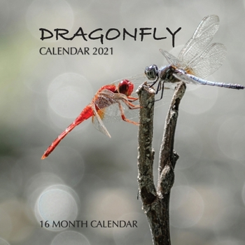 Paperback Dragonfly Calendar 2021: 16 Month Calendar Book