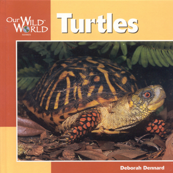Hardcover Turtles (Our Wild World) Book