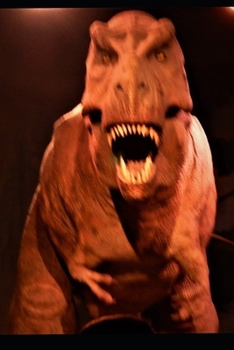 Paperback Professor Heinz Mansion Book