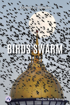 Library Binding Birds Swarm Book