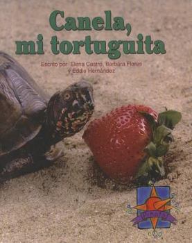 Canela, Mi Tortuguita, Single Copy, Mas Pinata, Stage 3