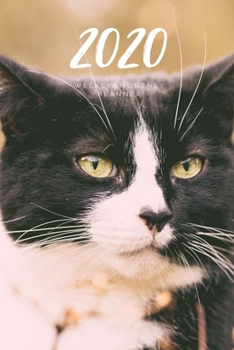 Paperback 2020 Weekly & Monthly Planner: Cat - 6X9 Size - Glossy Soft Cover - Multi-Purpose: Organizer/Calendar/Notebook/Agenda/Diary/Journal. Book