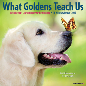 Calendar What Goldens Teach Us 2023 Wall Calendar Book