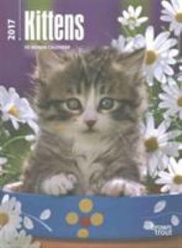 Calendar Kittens 2017 Calendar Book