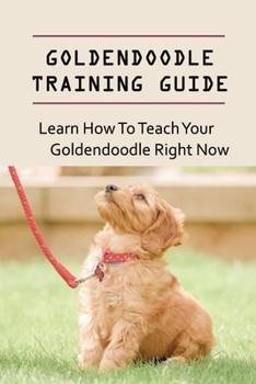 Paperback Goldendoodle Training Guide: Learn How To Teach Your Goldendoodle Right Now: Goldendoodle Breed Expert Step- By-Step Guide Book