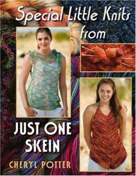 Paperback Special Little Knits from Just One Skein Book