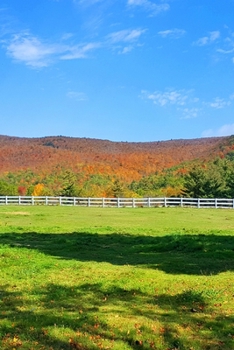 2020 Daily Planner Open Field Mountain View 388 Pages: 2020 Planners Calendars Organizers Datebooks Appointment Books Agendas