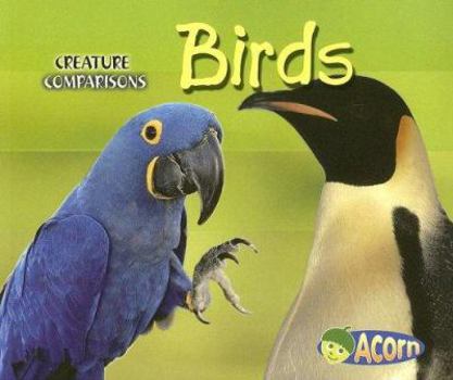 Birds - Book  of the Acorn: Creature Comparisons