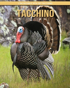 Tacchino: l'incredibile vita dei Tacchino
