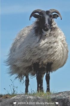 SHEEP! A 2020 Weekly Planner: Cover Sheep: December (Best Laid Plans)