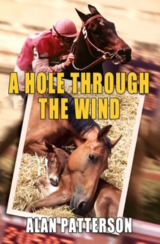 Paperback A Hole Through The Wind Book