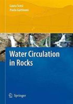 Paperback Water Circulation in Rocks Book