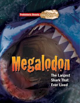 Paperback Megaladon: Prehistoric Beasts Uncovered - The Largest Shark That Ever Lived Book