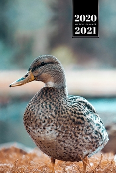 Duck Geese Goose Mallard Duckling Week Planner Weekly Organizer Calendar 2020 / 2021 - Landscape Walk: Cute Wildlife Animal Pet Bullet Journal Notebook Diary in 6” x 9” Inch Pocket Size