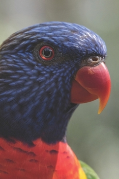 Regenbogenlori: Notizbuch / Tagebuch Lori - DIN A5 120 Seiten liniert - Geschenke f�r Vogelliebhaber Papagei