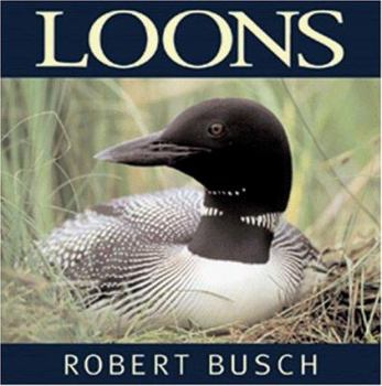 Hardcover Loons Book