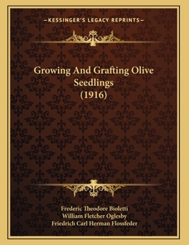 Growing and Grafting Olive Seedlings