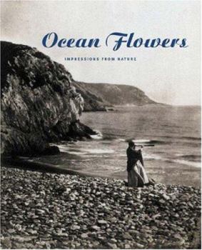 Ocean Flowers: Impressions from Nature