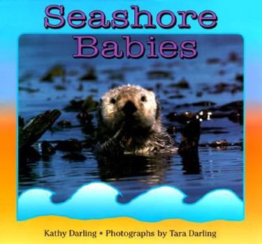 Hardcover Seashore Babies Book