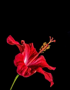 Daily Diary: Blank 2020 Journal Entry Writing Paper for Each Day of the Year | Hibiscus Malvaceae Flower | January 20 - December 20 | 366 Dated Pages ... Your Life, Set Goals & Get Things Done