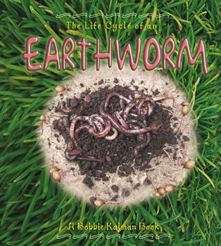 The Life Cycle of an Earthworm