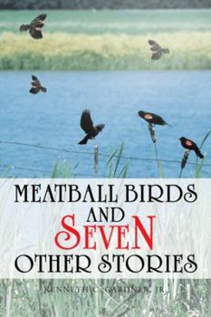Paperback Meatball Birds and Seven Other Stories Book