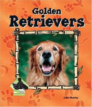 Library Binding Golden Retrievers Book