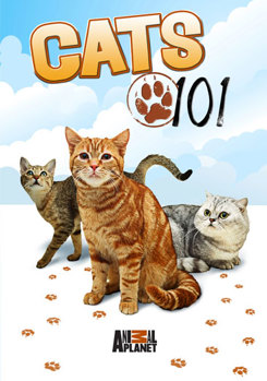 DVD Cats 101 Book