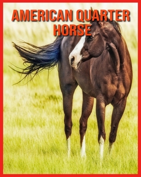 Paperback American Quarter Horse: Amazing Facts about American Quarter Horse Book