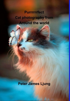 Hardcover PURRRRRRFECT Cat photography: Photographers from around the world Book