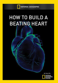 National Geographic: How to Build a Beating Heart
